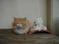 にゃん吉＆シーサー