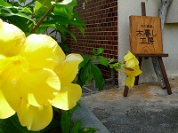 玄関脇のユウナ